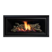 Regency Fireplace Products Greenfire GF900L-NG1 Owners & Installation Manual