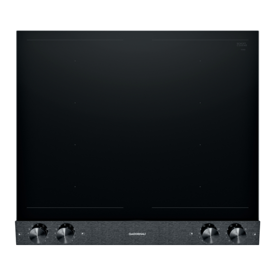 Gaggenau VI262120 User Manual And Installation Instructions