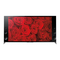 LED TV Sony XBR-65X900B Brochure & Specs