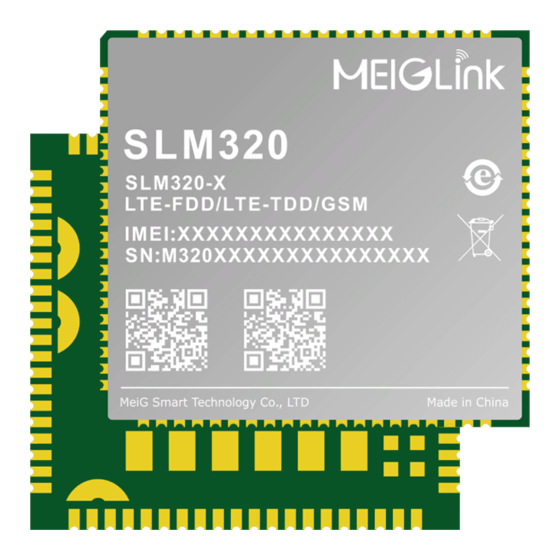 MEIG SLM 320 Design Manual
