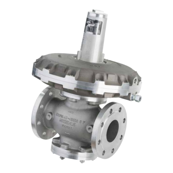 User Manuals: MEDENUS R 100 Gas Pressure Regulator