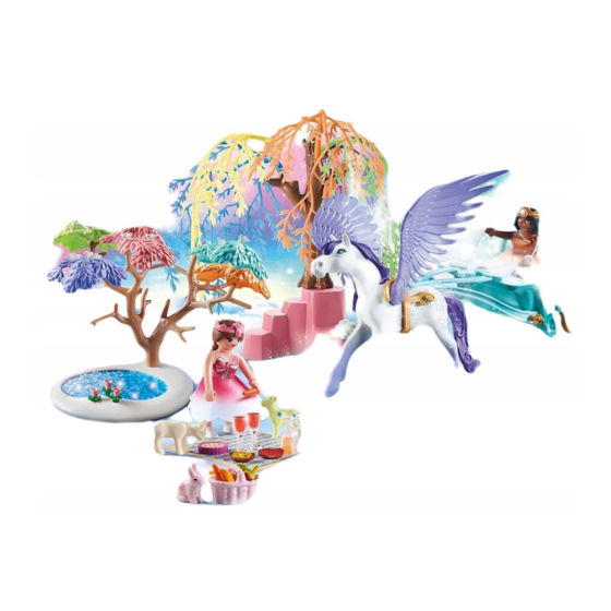 PLAYMOBIL Magic 71246 Manuals