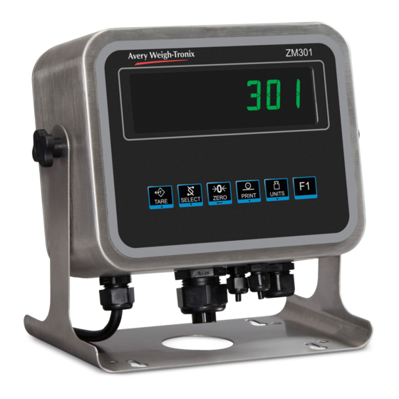 Avery Weigh-Tronix ZM301 User Instructions