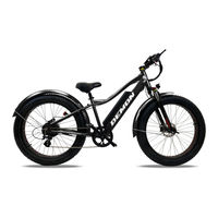 Demon Powersport DEMON E-BIKES THUNDERBOLT SL Owner's Manual