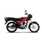 Motorcycle Bajaj Auto CT100B Manual