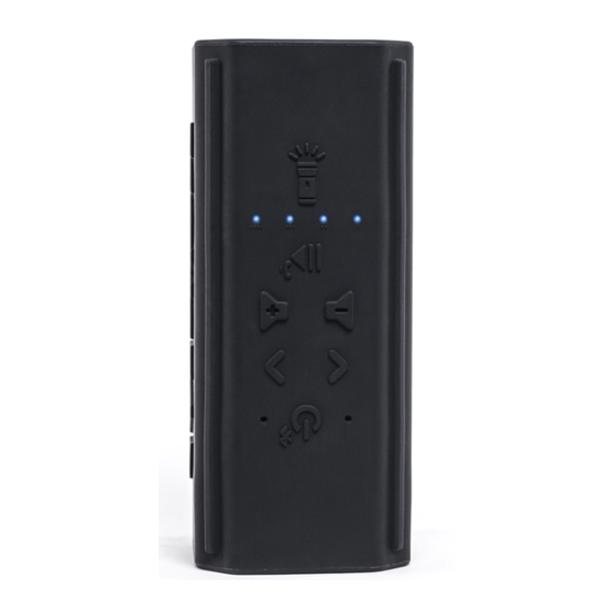 EcoxGear EcoPebble Powerbank GDI-EXPPB100 User Manual