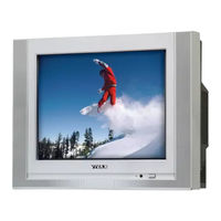 Vivax TV-2174 Service Manual