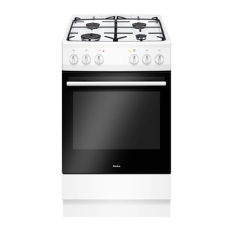 Amica 507GE e Series Manuals