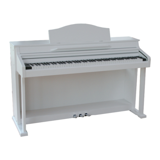 bluthner e-Klavier 1 Assembly Instructions Manual