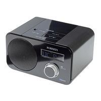 Roberts Blutune 40 Manual