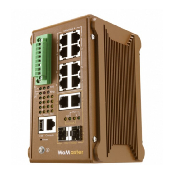 WoMaster DP310 Quick Installation Manual