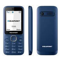 Blaupunkt FM03i User Manual