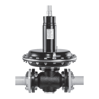 Dungs FRM 100065 Pressure Regulator Manuals