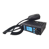Team Electronic TS-11vi Manual