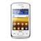 Cell Phone Samsung GT-S6102 User Manual