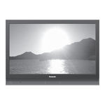 Panasonic VIERA TH-R37PV70 