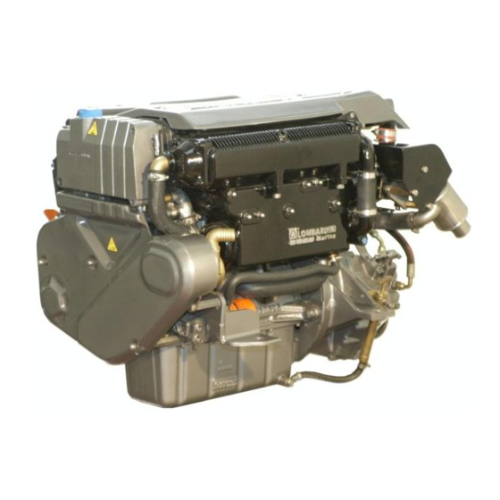 Lombardini LDW 194 JMtI Installation - Use - Maintenance