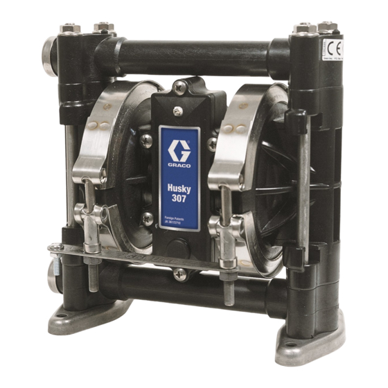Graco D31255 Instructions-Parts List Manual