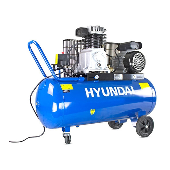 Hyundai HY3100P Manuals