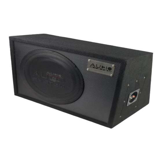 Audio System R12 FLAT G EVO User Manual