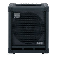 Roland CUBE-100 BASS Service Notes
