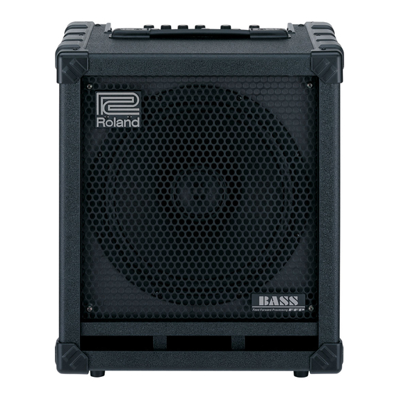 Roland CUBE-100 BASS Service Notes