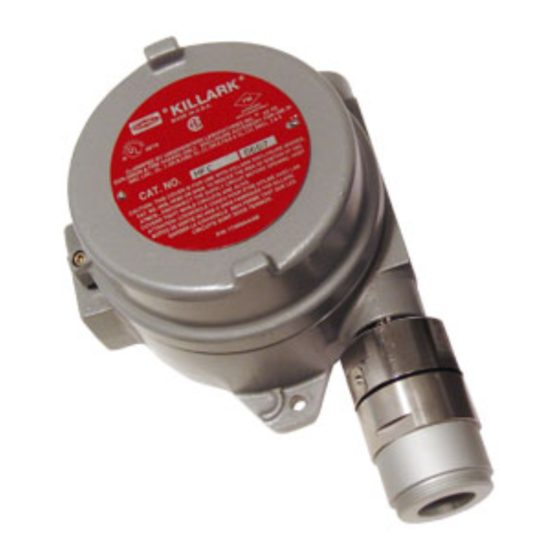 RKI Instruments 65-2432RK-05 Operator's Manual