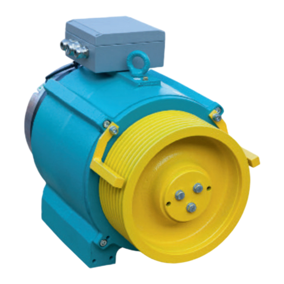 WITTUR servogearless WSG-S1.2 Operating Instructions Manual