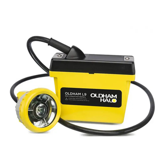 Oldham Denchi Power GL9 Instruction Manual