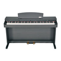 Virgin Musical Instruments Artesia DP-2 Owner's Manual