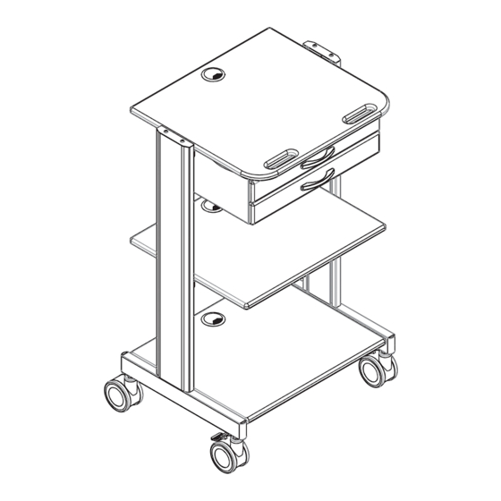 Tripp Lite WWSS2DWSTAA Owner's Manual