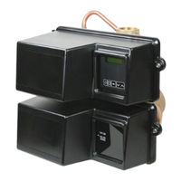 Pentair FLECK 3900 NXT Installer Manual