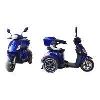 Dragon eBikes Dragon Transporter Owner's Manual