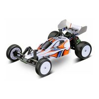 Ansmann Racing Mad Rat Assembly Manual