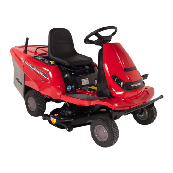 WEIBANG iON 81 RC E-RIDER Owner's Manual