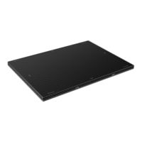 Iray Technology Luna1012X User Manual