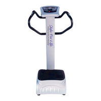 Style For Life BS-1000 VibeRx User Manual
