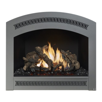 FireplaceXtrordinair 564 Artisan Face Manual