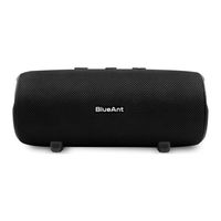 Blueant X3 User Manual