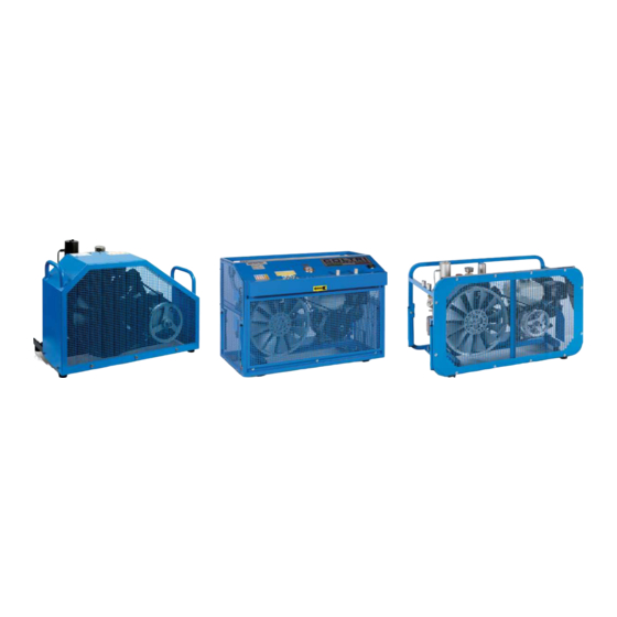 Coltri Compressors MCH-8-11/EM STANDARD Use And Maintenance Manual