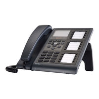Selta NETFON 330 SIP User Manual