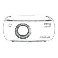 BIGASUO V511 User Manual