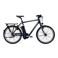 Derby Cycle impulse Quick Start Manual