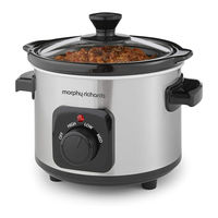 Morphy Richards 460300 Manual