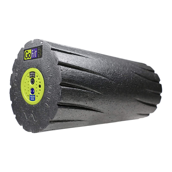 GoFit GoVibe Training Manual