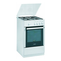 Gorenje G51101AW Manual