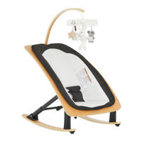 Evolur Baby Rocker Owner's Manual