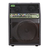 Trace Acoustic TA200 Owner's Manual