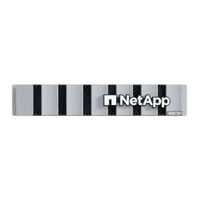 NetApp AFF C30 Install Manual