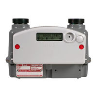 Itron Intelis Gas Meter Installation Manual